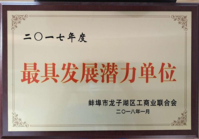 2017年最具潛力發展單位